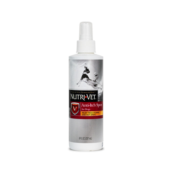 Best Anti Itch Spray for Dogs – Relieves Skin Irritation and Allergies