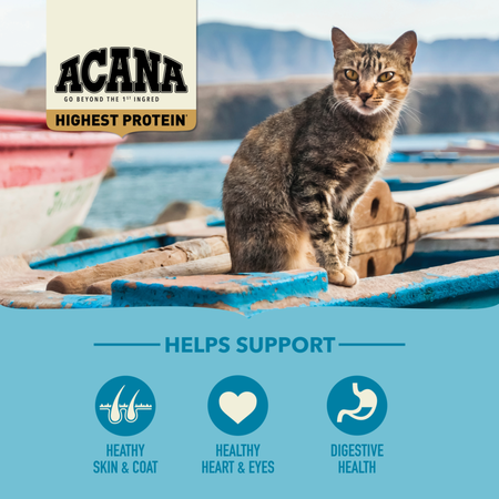 ACANA Highest Protein Wild Atlantic Recipe Dry Cat Food (12 oz)
