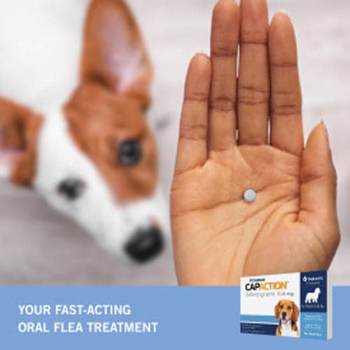 PetArmor® CAPACTION® (nitenpyram) Oral Flea Treatment for Dogs