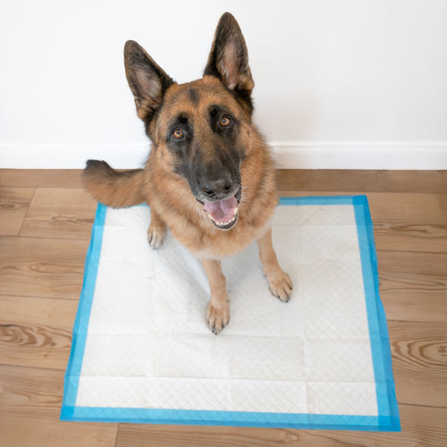 Four Paws Wee-Wee® Superior Performance X-Large Dog Pee Pads with Runoff Edge Guard