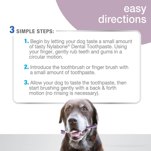 Nylabone Advanced Oral Care Senior Dog Dental Kit
