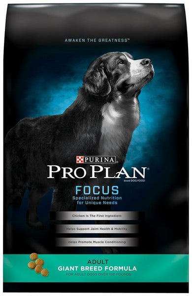 Pro plan 2025 focus large breed