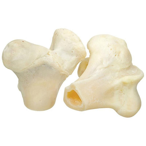 Redbarn Naturals White Knuckle Bone